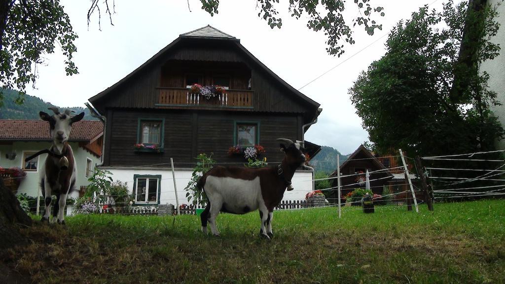 Harreiterhof Vila Aich  Exterior foto